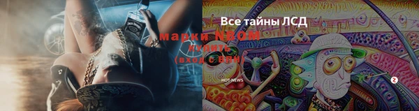 a pvp Белокуриха