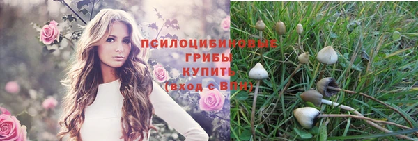 ешки Белоозёрский